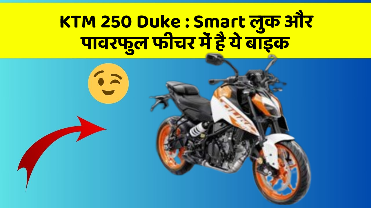 KTM 250 Duke: Smart लुक और पावरफुल फीचर में है ये बाइक